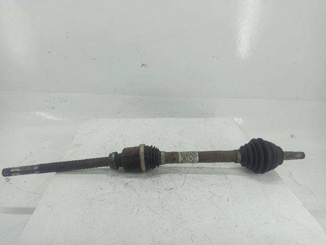 9660782880 Peugeot/Citroen