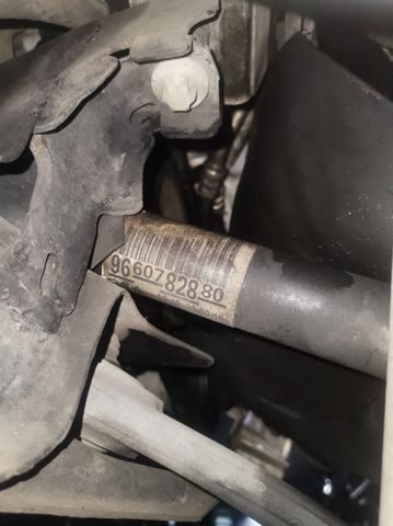 9660782880 Peugeot/Citroen