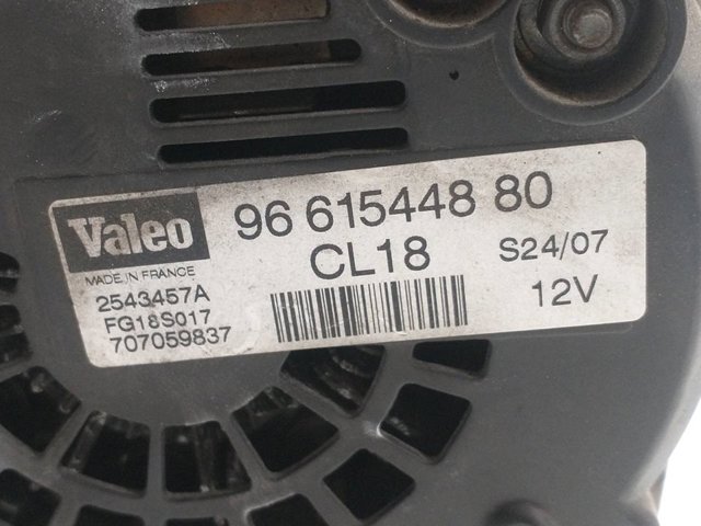 9661544880 Peugeot/Citroen