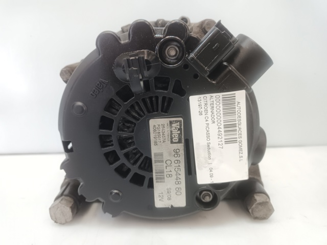 9661544880 Peugeot/Citroen