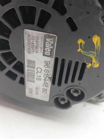 9661544880 Peugeot/Citroen