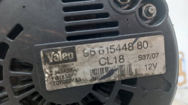 9661544880 Peugeot/Citroen