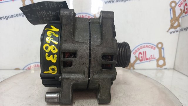 9661544880 Peugeot/Citroen