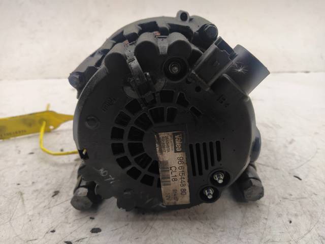 9661544880 Peugeot/Citroen