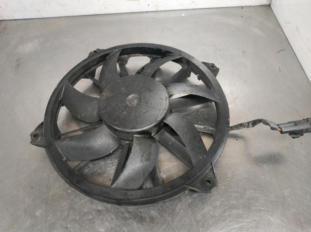 9661571480 Peugeot/Citroen