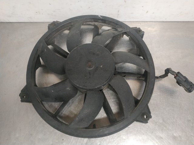 9661571480 Peugeot/Citroen