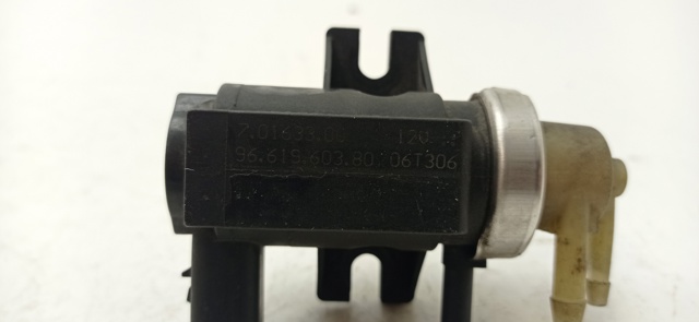 9661960380 Peugeot/Citroen