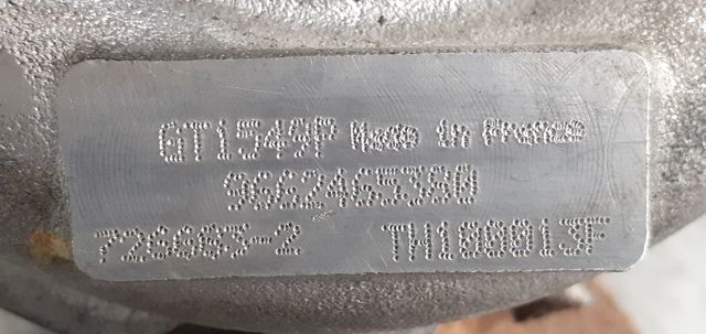 9662465380 Peugeot/Citroen