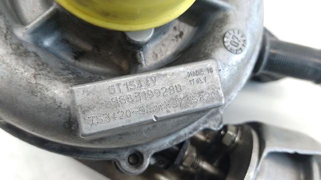 9663199280 Peugeot/Citroen