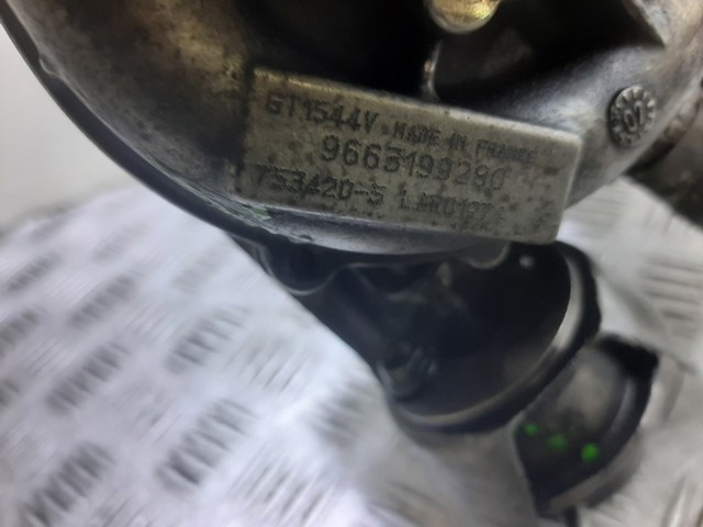 9663199280 Peugeot/Citroen