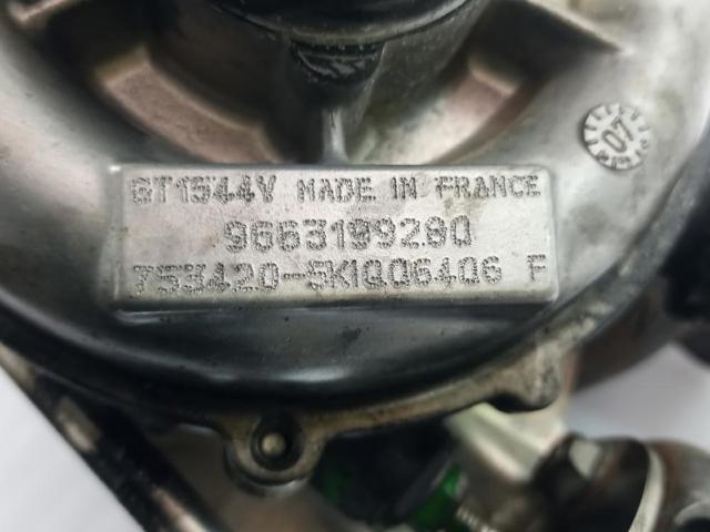 9663199280 Peugeot/Citroen