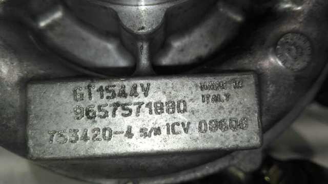 9663199280 Peugeot/Citroen