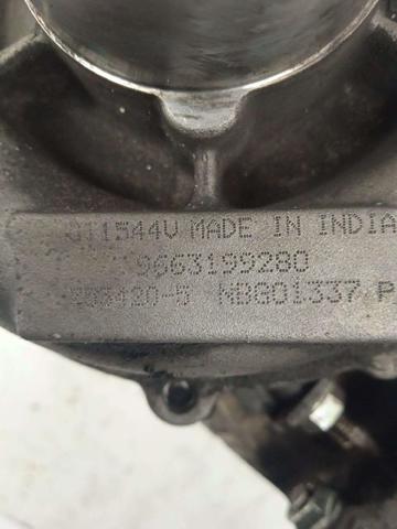 9663199280 Peugeot/Citroen