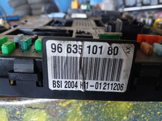 9663510180 Peugeot/Citroen
