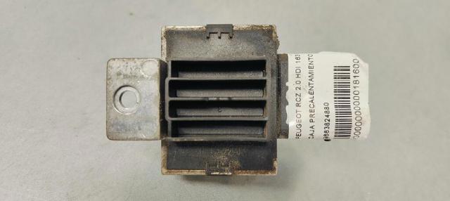 9663824880 Peugeot/Citroen