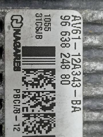 9663824880 Peugeot/Citroen