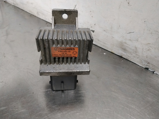 9663824880 Peugeot/Citroen