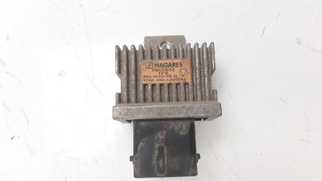 9663824880 Peugeot/Citroen