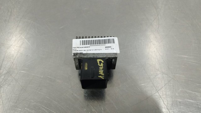 9663824880 Peugeot/Citroen
