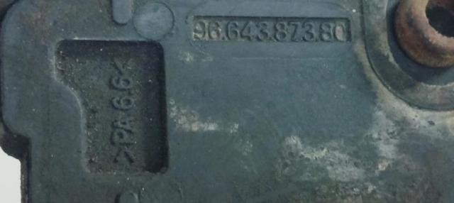 9664387380 Peugeot/Citroen