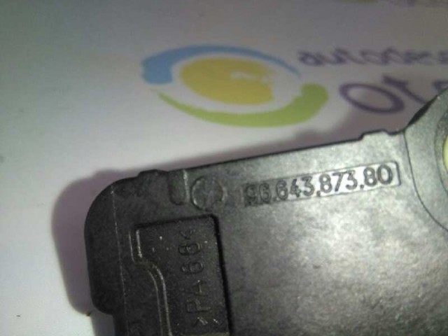 9664387380 Peugeot/Citroen