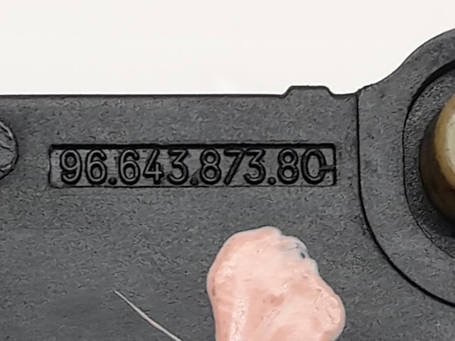 9664387380 Peugeot/Citroen