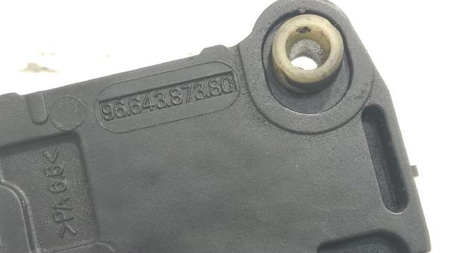 9664387380 Peugeot/Citroen