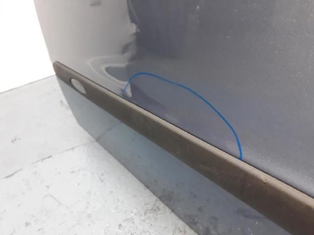 Drzwi przednie lewe ЗАЗ VIDA