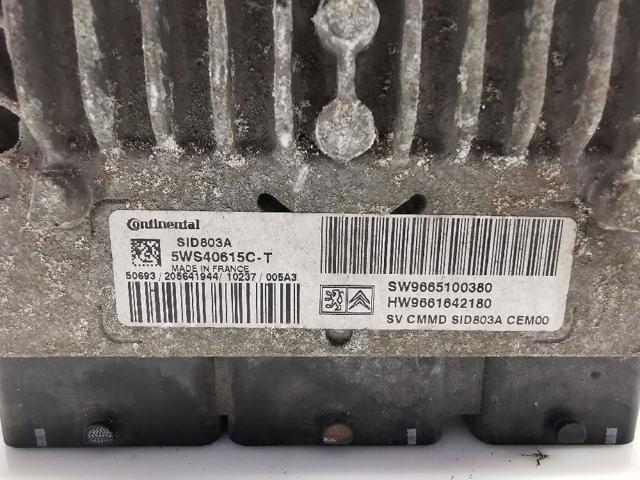 Sterownik silnika Peugeot Expert VF3