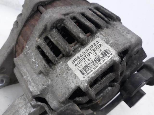 9666030280 Peugeot/Citroen