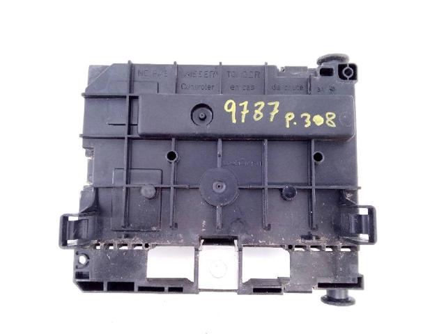 9666700480 Peugeot/Citroen