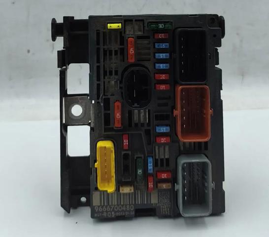 9666700480 Peugeot/Citroen