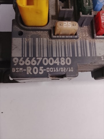 9666700480 Peugeot/Citroen