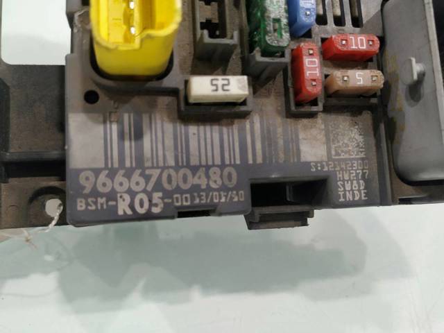 9666700480 Peugeot/Citroen