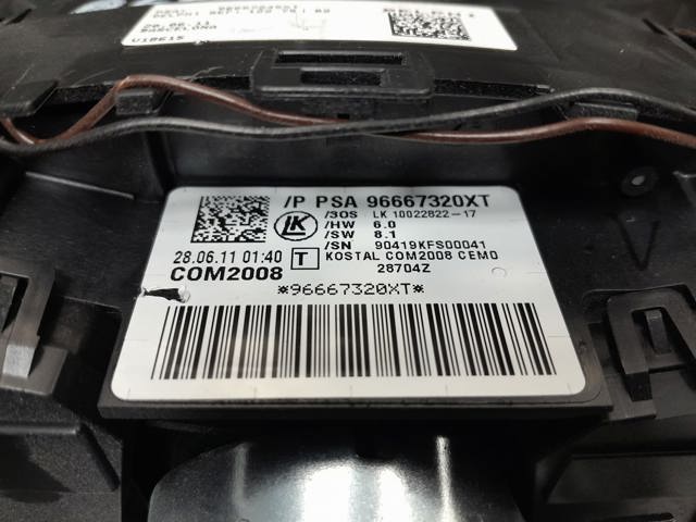96667320XT Peugeot/Citroen