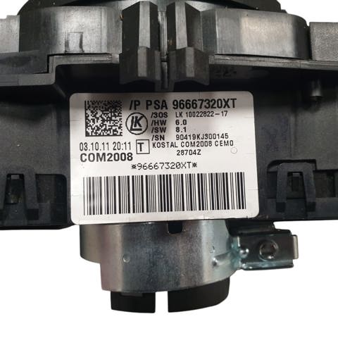 96667320XT Peugeot/Citroen