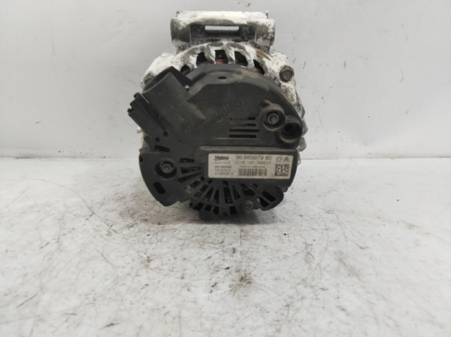 9666997980 Peugeot/Citroen