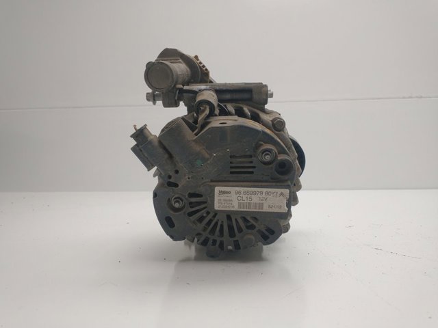 9666997980 Peugeot/Citroen