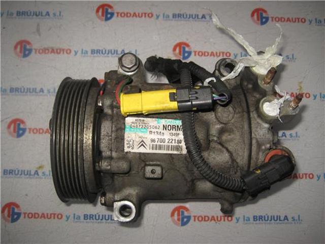 9670022180 Peugeot/Citroen