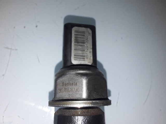 9670076780 Peugeot/Citroen