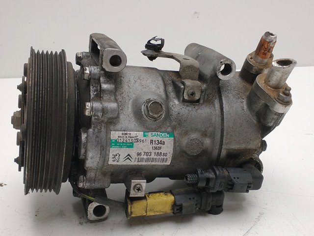 9670318880 Peugeot/Citroen