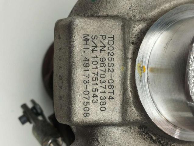 9670371380 Peugeot/Citroen