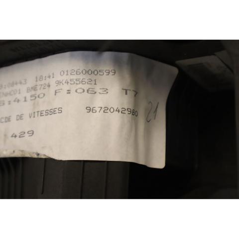 9672042980 Peugeot/Citroen