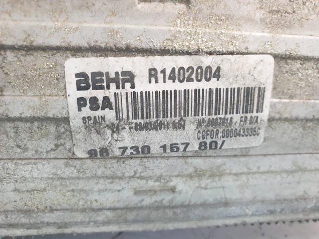 9673015780 Peugeot/Citroen