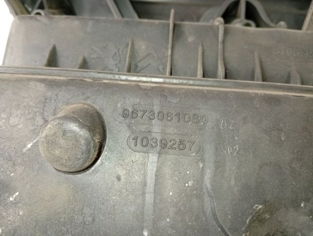 9673061080 Peugeot/Citroen