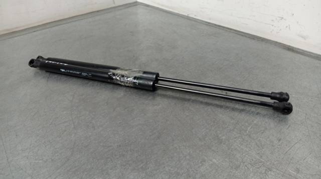 9673083680 Peugeot/Citroen