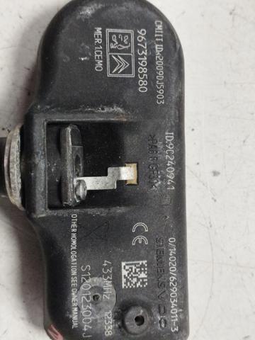 9673198580 Peugeot/Citroen