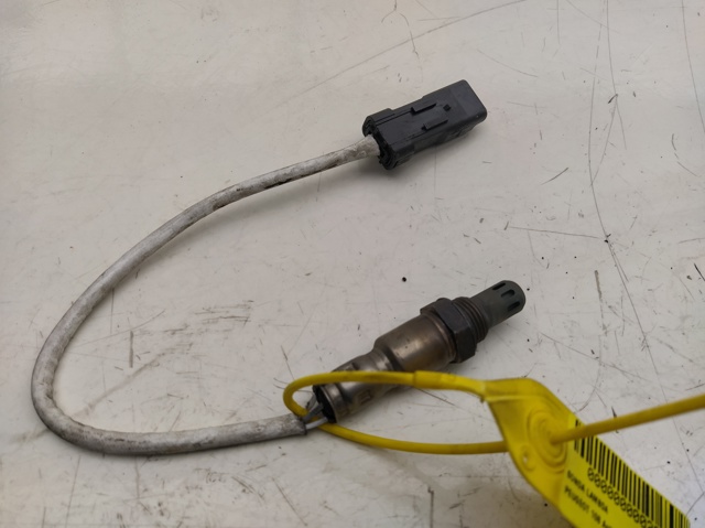 9673438580 Peugeot/Citroen