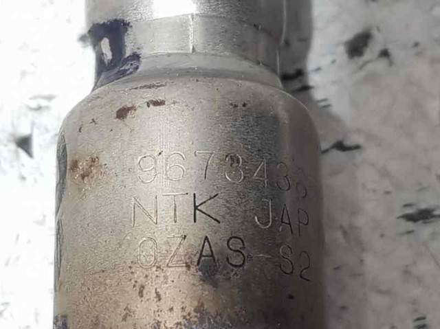 9673438580 Peugeot/Citroen