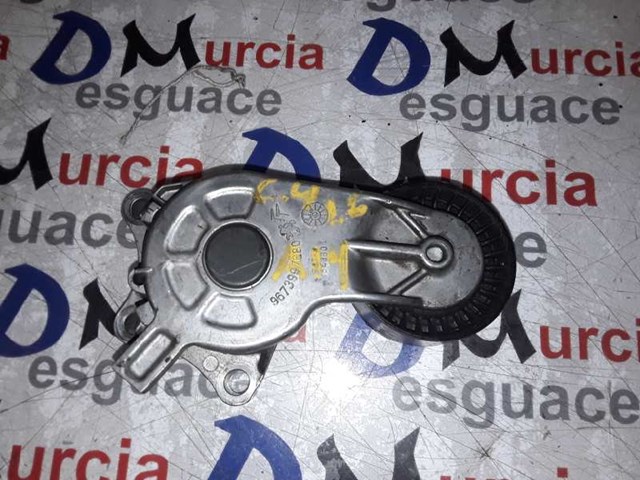 9673997680 Peugeot/Citroen